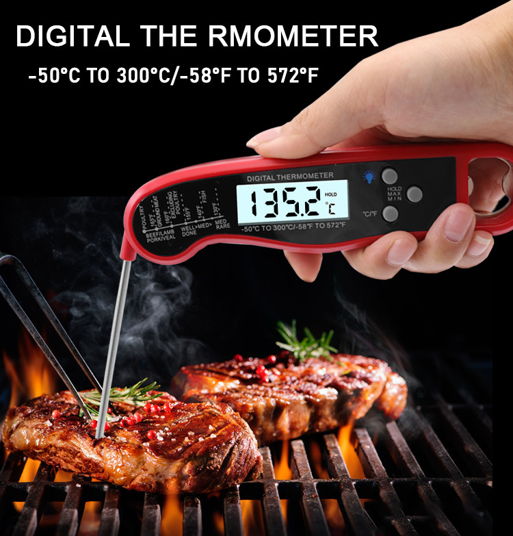 Termometro da campeggio Lettur - Meat Thermometer Camp recensione e prezzo