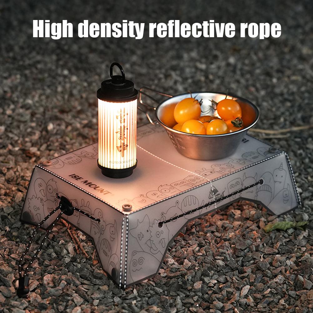 Tavolo da Campeggio Pieghevole - Camping Cooking Tray recensione e prezzo